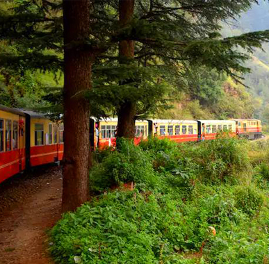Himalayan Nature Tours
