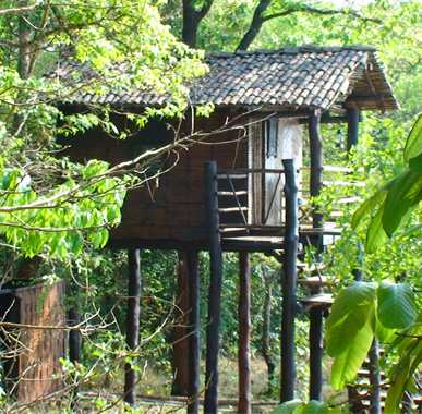 Himalayan Nature Tours