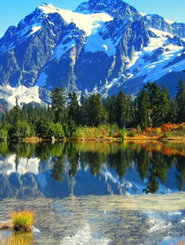 Himalayan Nature Tours