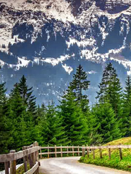 Himalayan Nature Tours